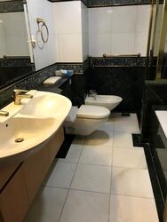 The Legend (D10), Condominium #515661871